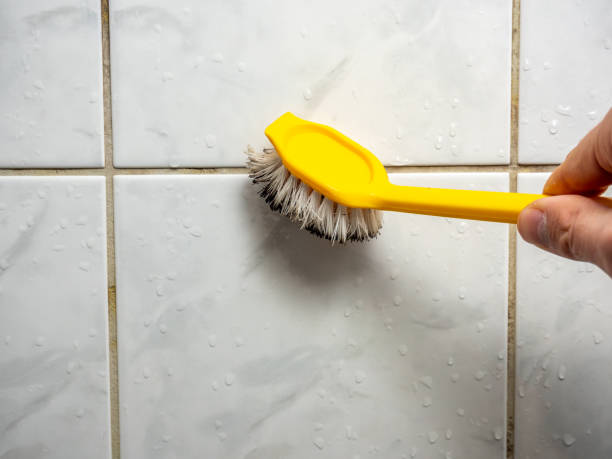 Best Mold Remediation for Schools in Waverly, OH