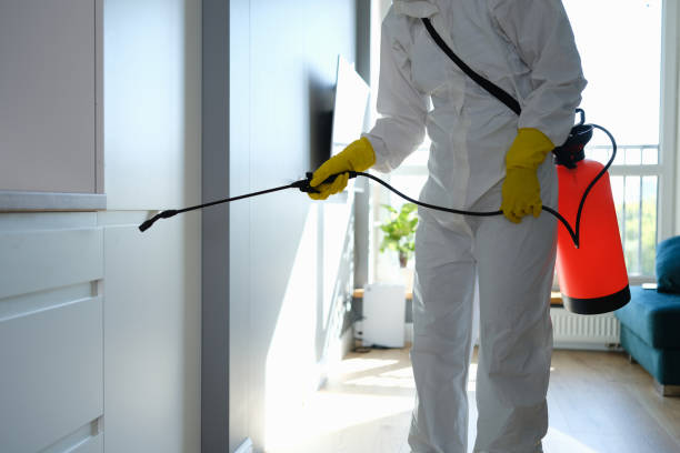 Best Emergency Mold Remediation in Waverly, OH